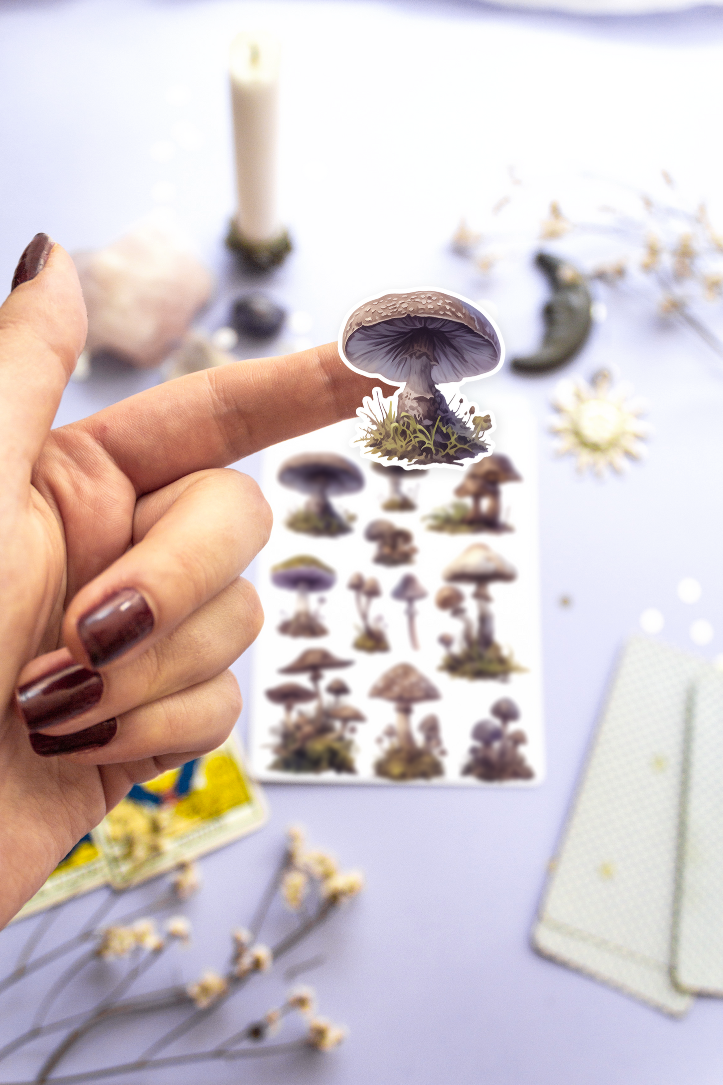 Witchy Mushroom Sticker Sheet