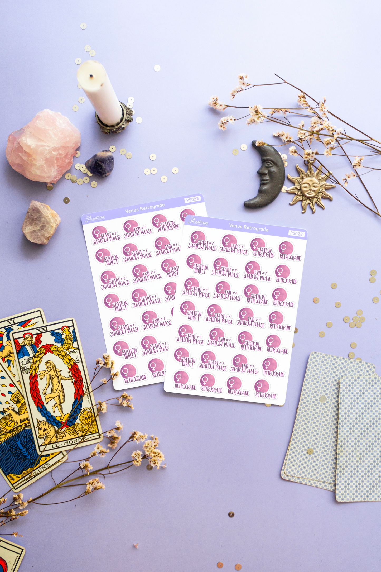 Venus Retrograde Stickers for Planner