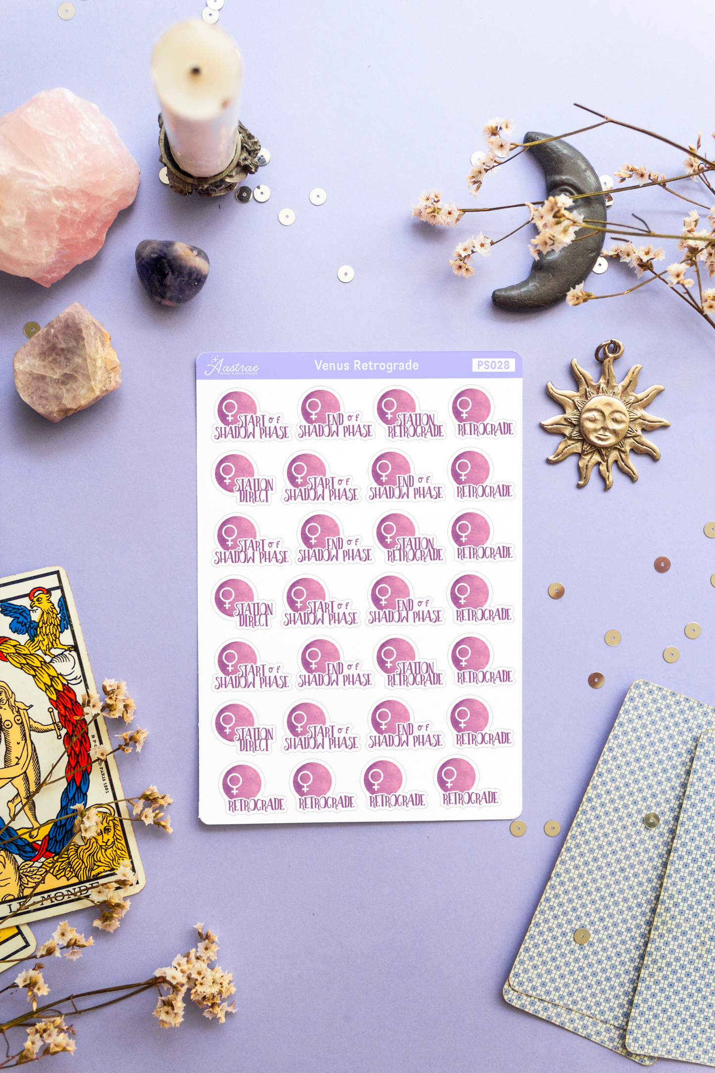 Venus Retrograde Stickers for Planner