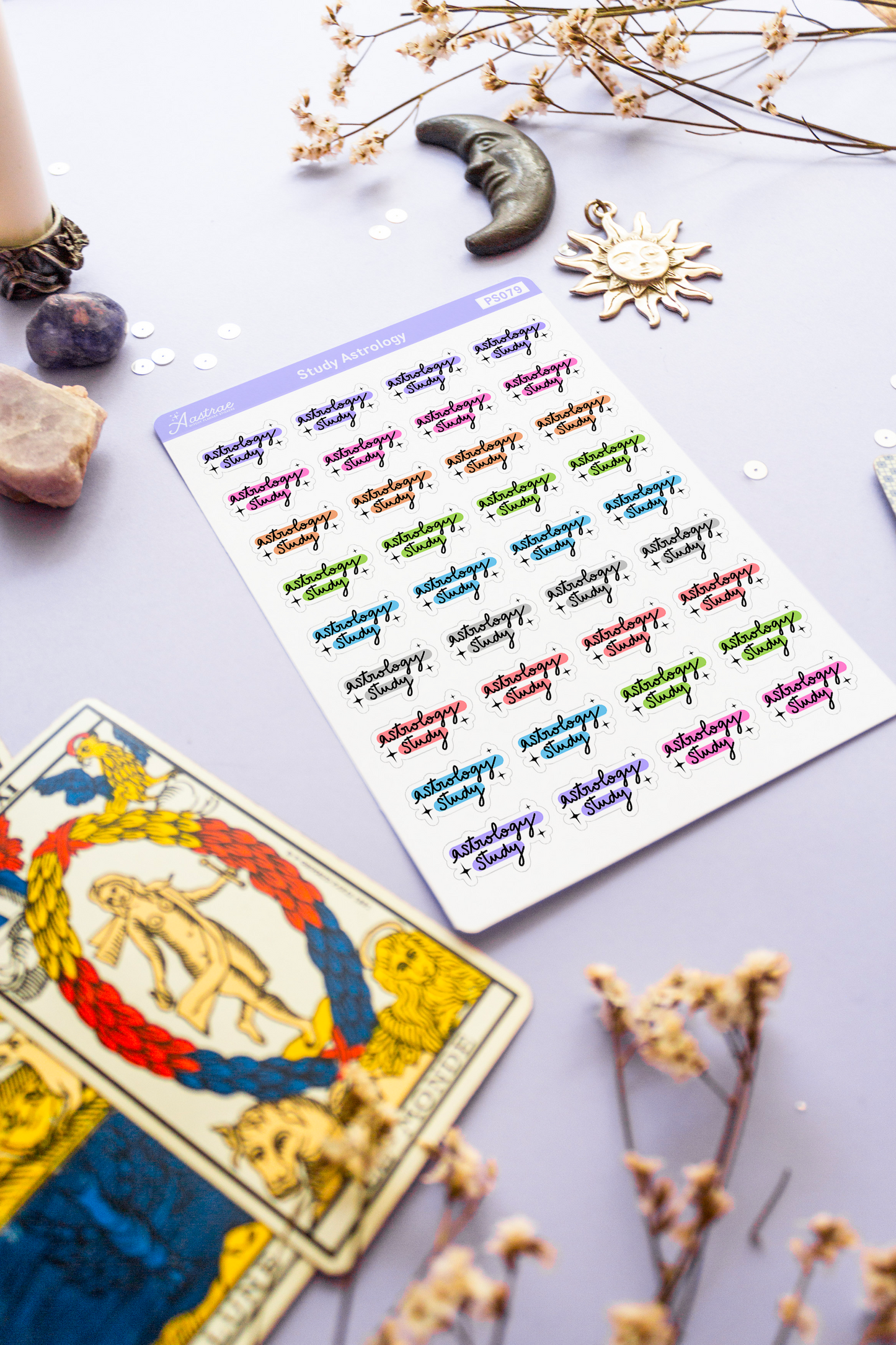 Study Astrology Planner Stickers