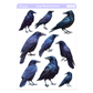 Large Crows Sticker Sheet