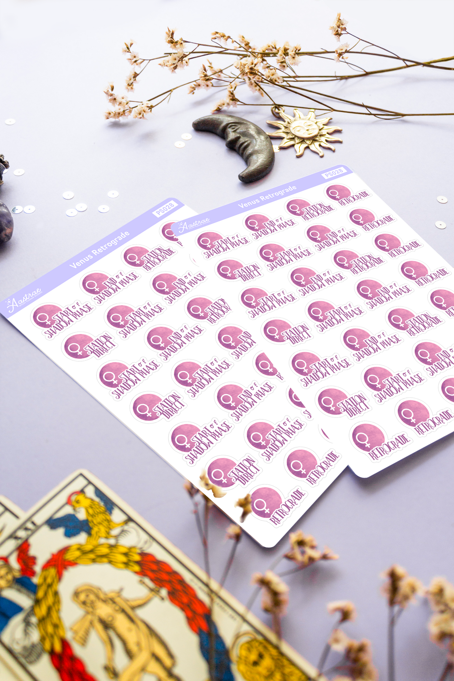 Venus Retrograde Stickers for Planner