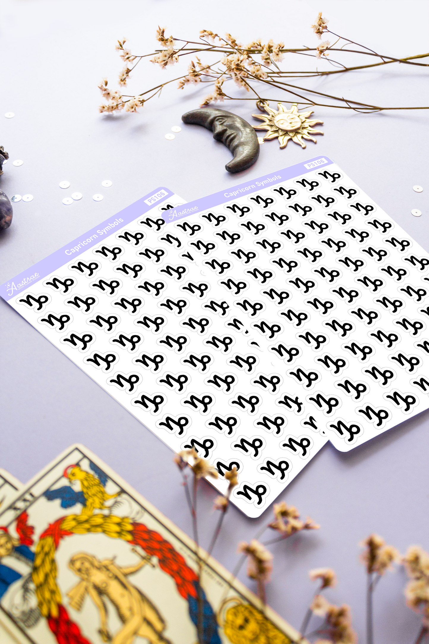 Astrology Capricorn Symbol Stickers