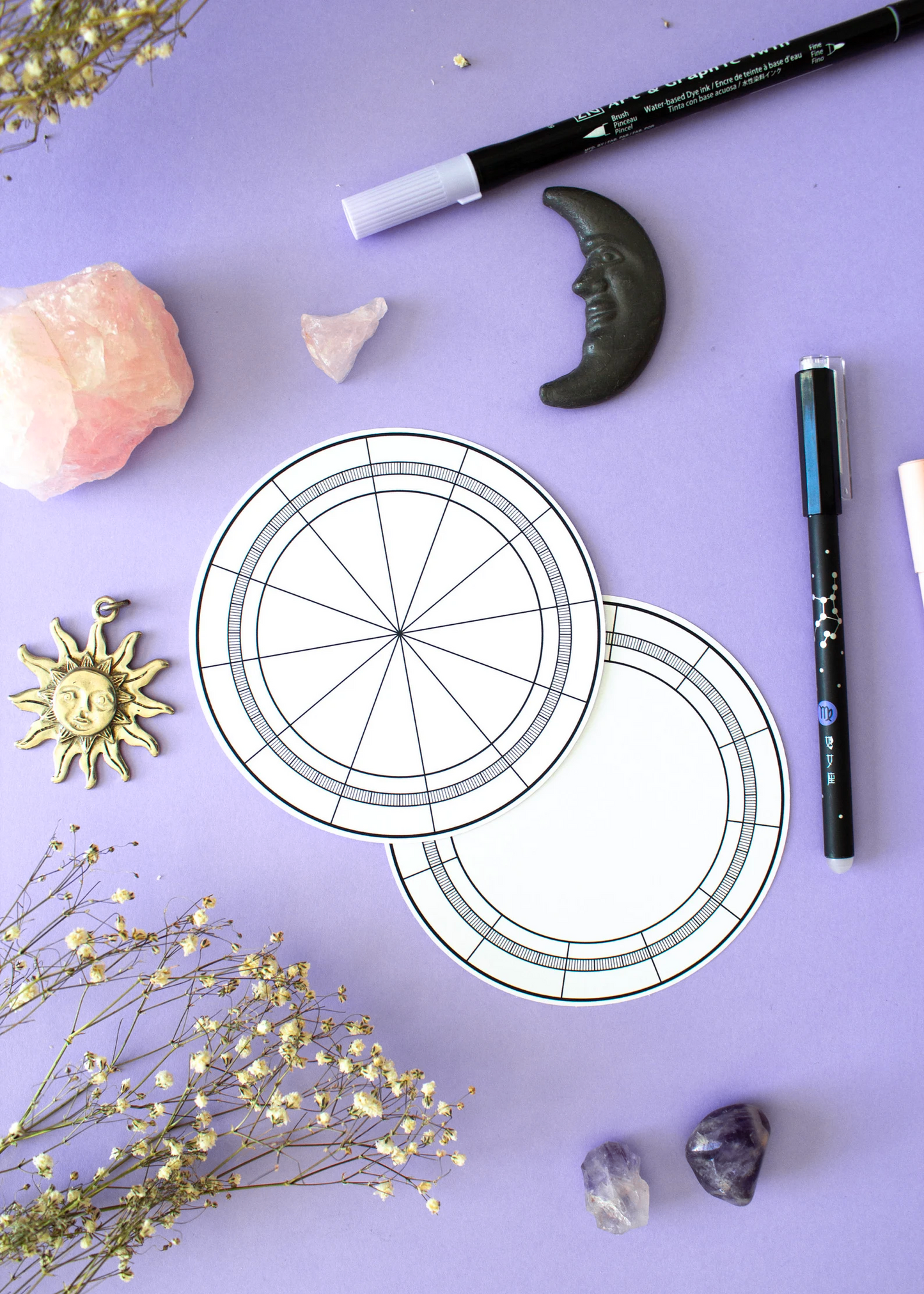 Birth Chart Template Sticker