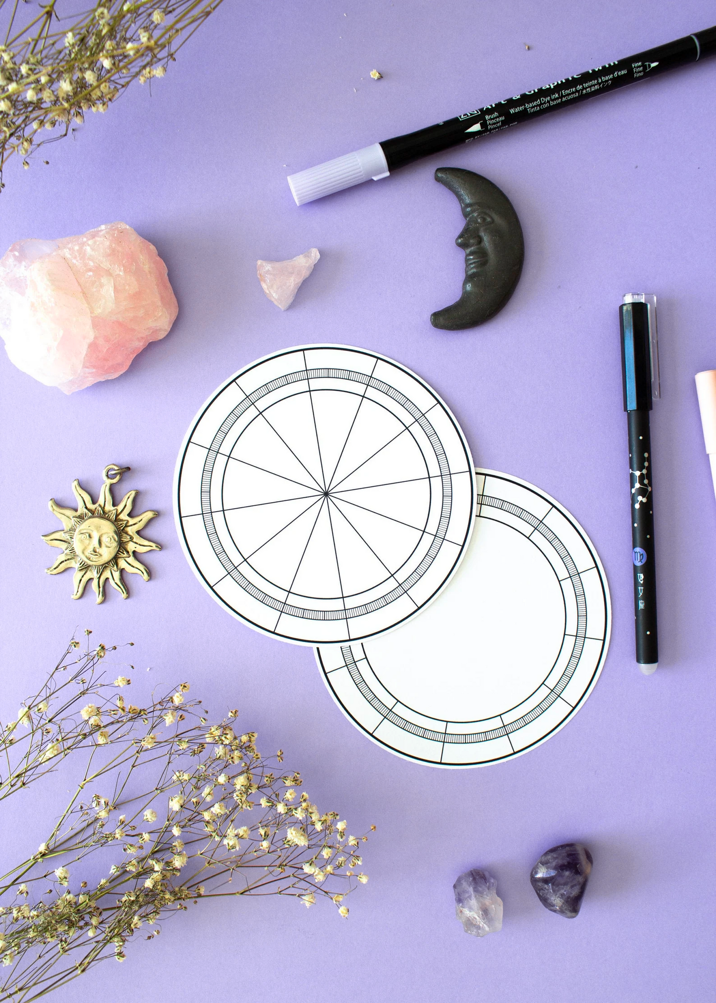 Birth Chart Template Sticker